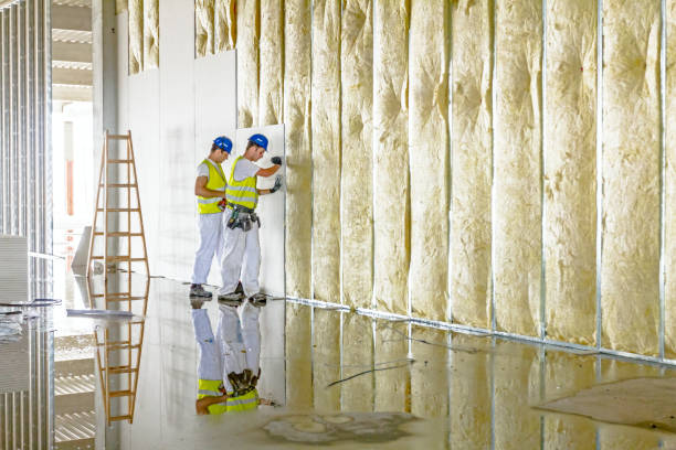 Insulation Contractors for Homes in Victoria, MS